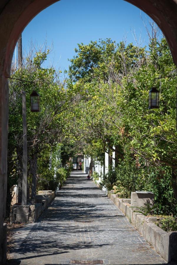 Controvento In Villa Eldorado Прочида Екстер'єр фото